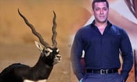 काले हिरण शिकार मामले में फिल्म अभिनेता सलमान खान की अपील पर सुनवाई आज